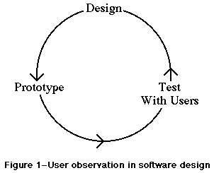 Figure 1-1